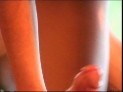 'Latina Heat 14' screenshot nº 78