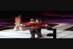 Captura de 'Not Rated Pro Wrestling' nº 95