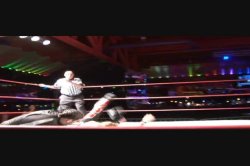 Captura de 'Not Rated Pro Wrestling' nº 97