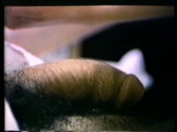 'Pounded Classics' screenshot nº 7