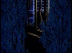 'Carnal Witness' screenshot nº 100