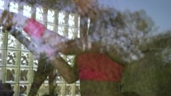 Captura de 'Gym Bunnies' nº 1