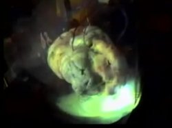 'Machine Head 3: Rage Against The Machine' screenshot nº 21