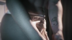 'Sex Invitation' screenshot nº 111