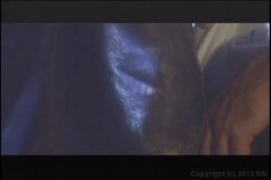 'Romantic Desires' screenshot nº 42