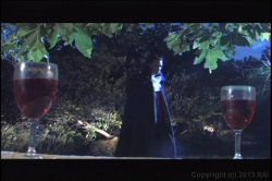 'Romantic Desires' screenshot nº 109
