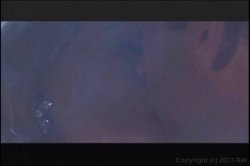 'Romantic Desires' screenshot nº 30