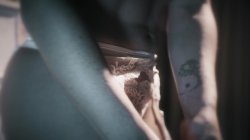 'Sex Invitation' screenshot nº 111