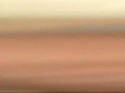 Captura de 'Big Ass Anal Heaven 7' nº 100