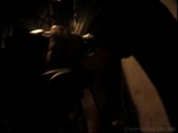 Captura de 'Runaway Teens' nº 11