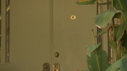 Captura de 'Creepers Family: Part 4, The' nº 74