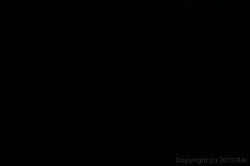 'Six Degrees of Seduction 2' screenshot nº 51