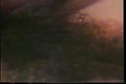 Captura de 'Ass Fucking In The 80's' nº 129
