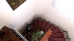 'Initiation of Lou Charmelle' screenshot nº 13