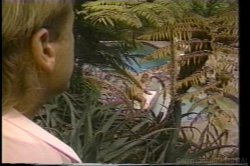 'Taken From Behind 3' screenshot nº 93