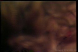 'Sexbusters' screenshot nº 53