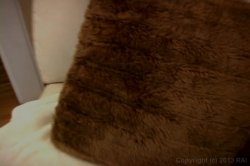 'Big Tits Big Toys' screenshot nº 21