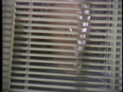 'Latin Fever 3' screenshot nº 15