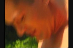 'All Natural 6' screenshot nº 40