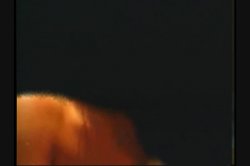 'All Natural 6' screenshot nº 41