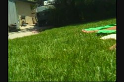 'All Natural 6' screenshot nº 60