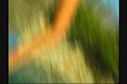 'All Natural 6' screenshot nº 10