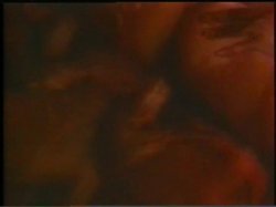 Captura de 'Lisa Deleeuw Triple Feature 5' nº 124