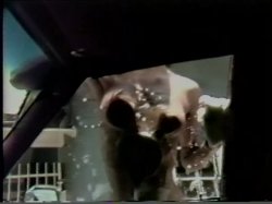 Captura de 'Lisa Deleeuw Triple Feature 5' nº 27