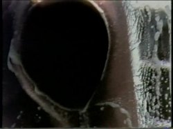 Captura de 'Lisa Deleeuw Triple Feature 5' nº 29