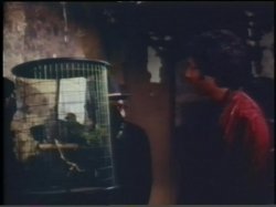 Captura de 'Lisa Deleeuw Triple Feature 5' nº 98