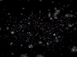Captura de 'Barely Legal Xmas Twin Pack' nº 82