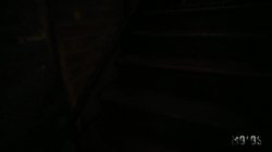 'Down To Fuck A Stranger Vol. 17' screenshot nº 55