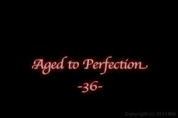 'Aged to Perfection 36' screenshot nº 10