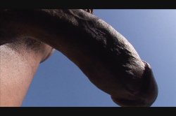 Captura de 'European Anal' nº 3