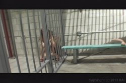 Captura de 'Wild Sex Orgies' nº 114