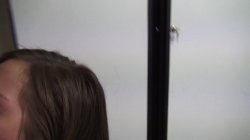 Captura de 'James Deen's Amateur Applications 3' nº 69