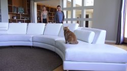 Captura de 'James Deen's Amateur Applications 3' nº 111