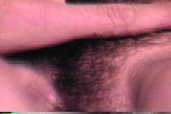 'Sexual Pursuit' screenshot nº 66