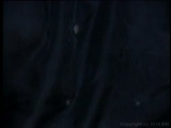 'Creasemaster, The' screenshot nº 118