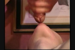 'World Sex Tour 7' screenshot nº 138