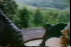 Captura de 'Cult 70s Porno Director 14: Fred Lincoln' nº 24