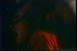 Captura de 'Cult 70s Porno Director 14: Fred Lincoln' nº 43