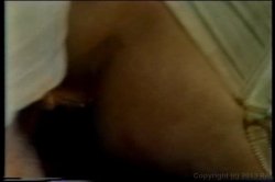 Captura de 'Cult 70s Porno Director 14: Fred Lincoln' nº 130