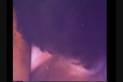 Captura de 'Gozangas' nº 36