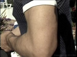 Captura de 'Transsexual Gang Bangers 7' nº 96