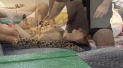 Captura de 'Asian Size Queens' nº 25