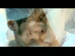 'Une Nuit Au Bordel (A Night At The Bordello)' screenshot nº 95