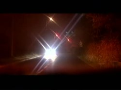 'Une Nuit Au Bordel (A Night At The Bordello)' screenshot nº 2