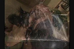 'Naughty Nikita' screenshot nº 82