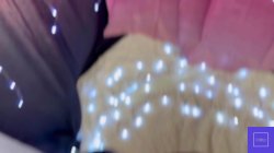 Captura de 'BJ World 2024 Cumpilation' nº 63